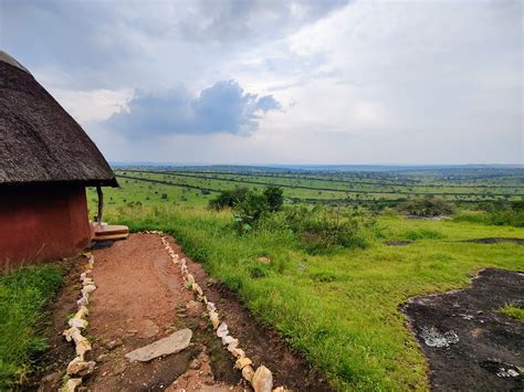bamboo ecotours|BAMBOO ECOTOURS (2024) All You Need to Know .